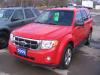 2009 Ford Escape XLT V6 AWD