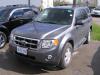 2010 Ford Escape XLT V6