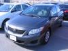 2009 Toyota Corolla CE For Sale Near Kingston, Ontario
