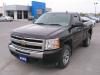 2009 Chevrolet Silverado 1500 LS Reg Cab 4x4 Short Box