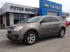2010 Chevrolet Equinox LS