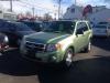 2008 Ford Escape XLT V6