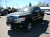 2009 Ford F-150 Platinum