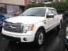 2009 Ford F-150
