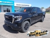 2020 GMC Sierra 1500 Crew Cab 4X4 For Sale Near Carleton Place, Ontario