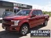 2019 Ford F-150 Lariat For Sale Near Arnprior, Ontario