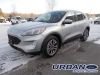 2022 Ford Escape SEL AWD Hybrid For Sale in Arnprior, ON