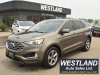 2019 Ford Edge SEL For Sale in Pembroke, ON