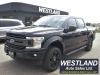 2019 Ford F-150 CrewCab For Sale in Pembroke, ON