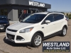 2015 Ford Escape SE For Sale in Pembroke, ON
