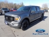 2023 Ford F-150 XLT SuperCrew 4X4 For Sale Near Bancroft, Ontario