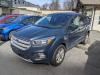 2019 Ford Escape SE EcoBoost For Sale Near Yarker, Ontario