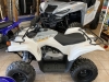 2024 Yamaha GRIZZLY 90 For Sale Near Barrys Bay, Ontario
